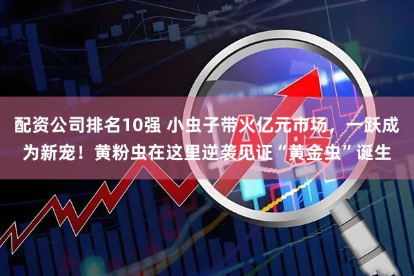 配资公司排名10强 小虫子带火亿元市场，一跃成为新宠！黄粉虫在这里逆袭见证“黄金虫”诞生